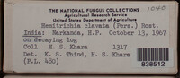 Image Associated With the Occurence